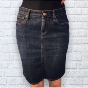 Gap Denim Skirt
